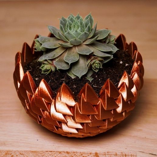 Dragon Egg Succulent Planter